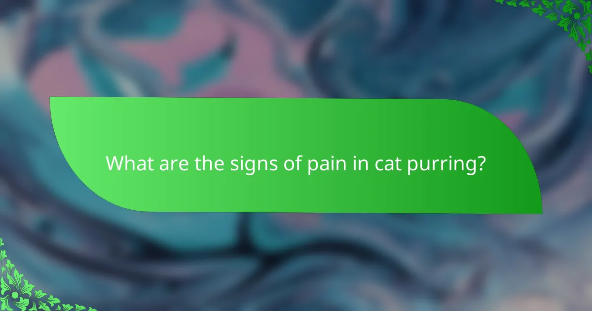 What are the signs of pain in cat purring?