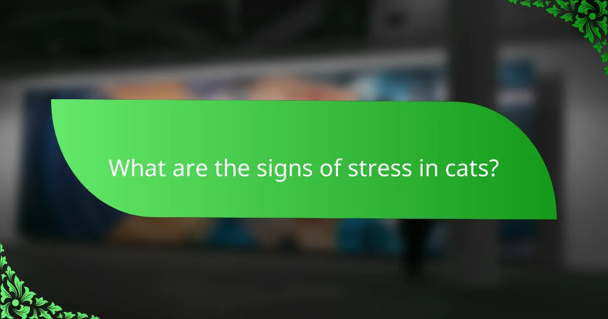 What are the signs of stress in cats?