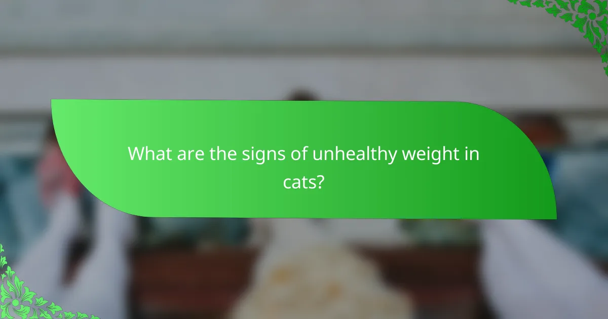 What are the signs of unhealthy weight in cats?
