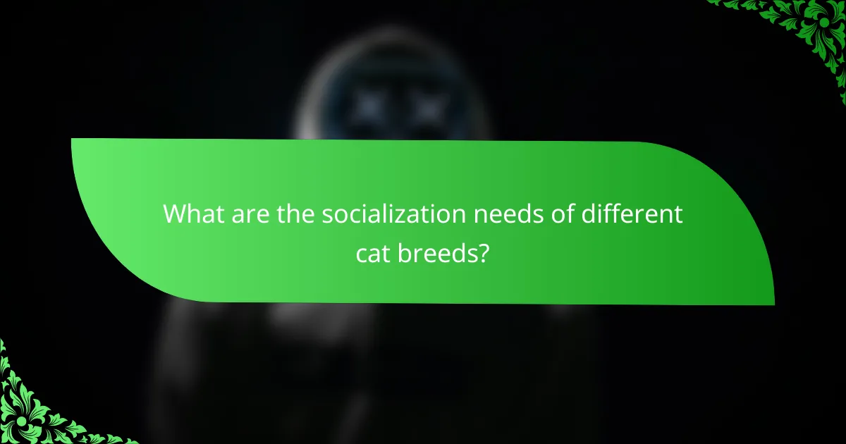 What are the socialization needs of different cat breeds?
