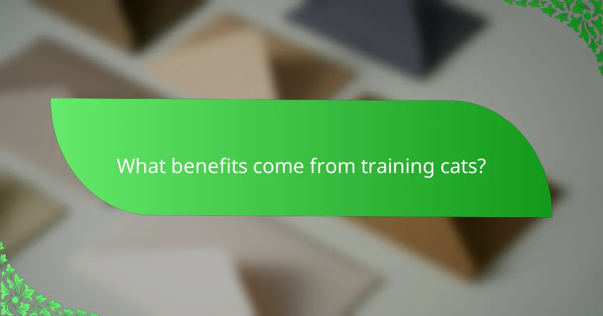 What benefits come from training cats?