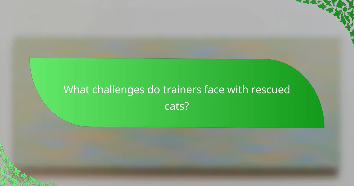 What challenges do trainers face with rescued cats?