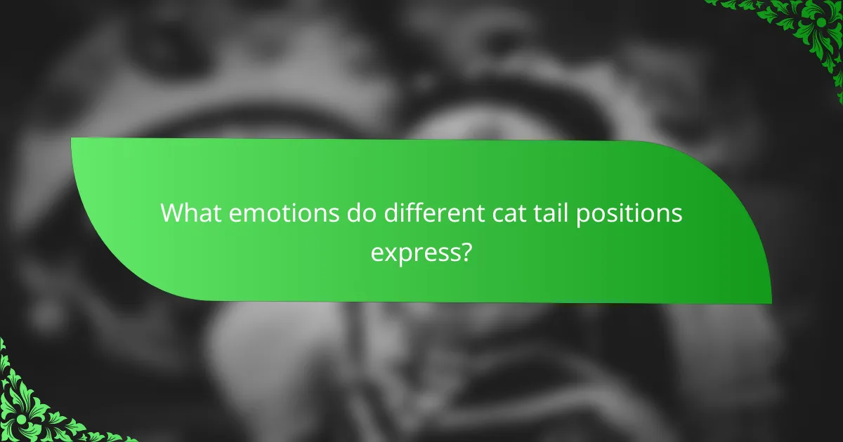 What emotions do different cat tail positions express?