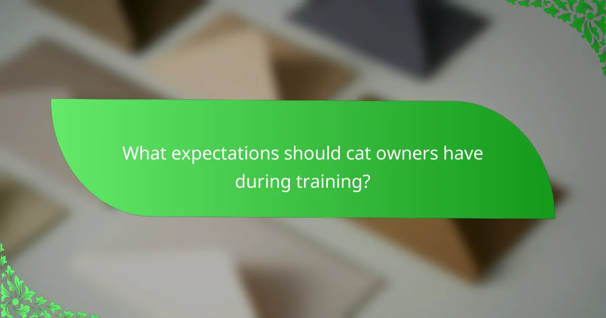 What expectations should cat owners have during training?