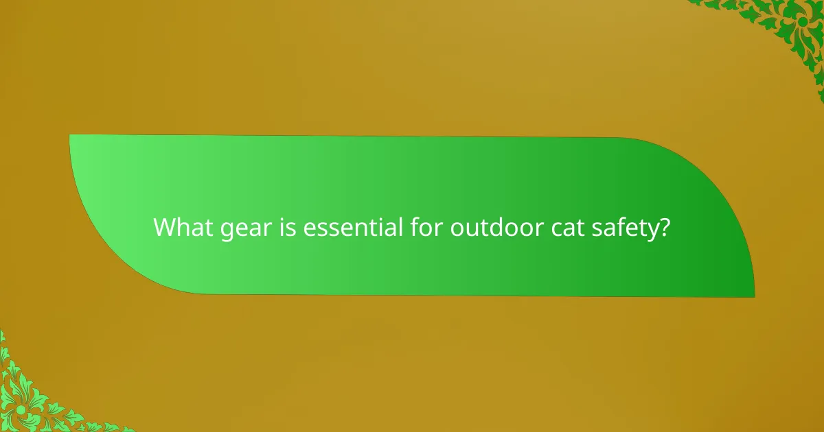 What gear is essential for outdoor cat safety?