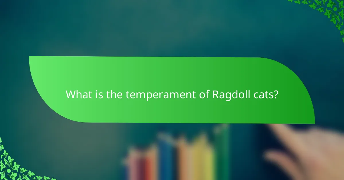 What is the temperament of Ragdoll cats?