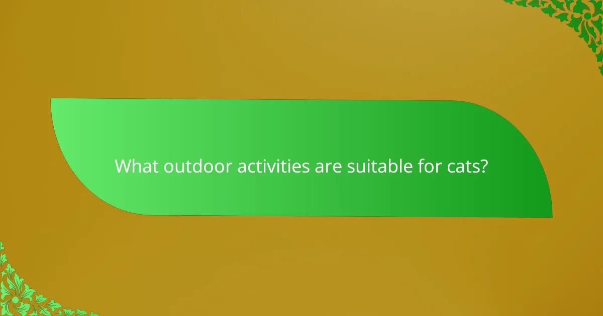 What outdoor activities are suitable for cats?