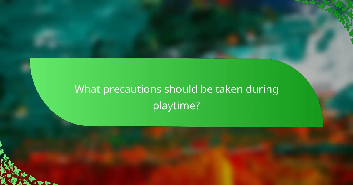 What precautions should be taken during playtime?