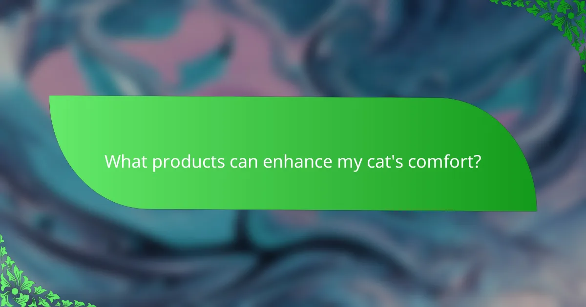 What products can enhance my cat's comfort?