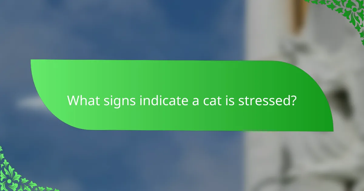 What signs indicate a cat is stressed?
