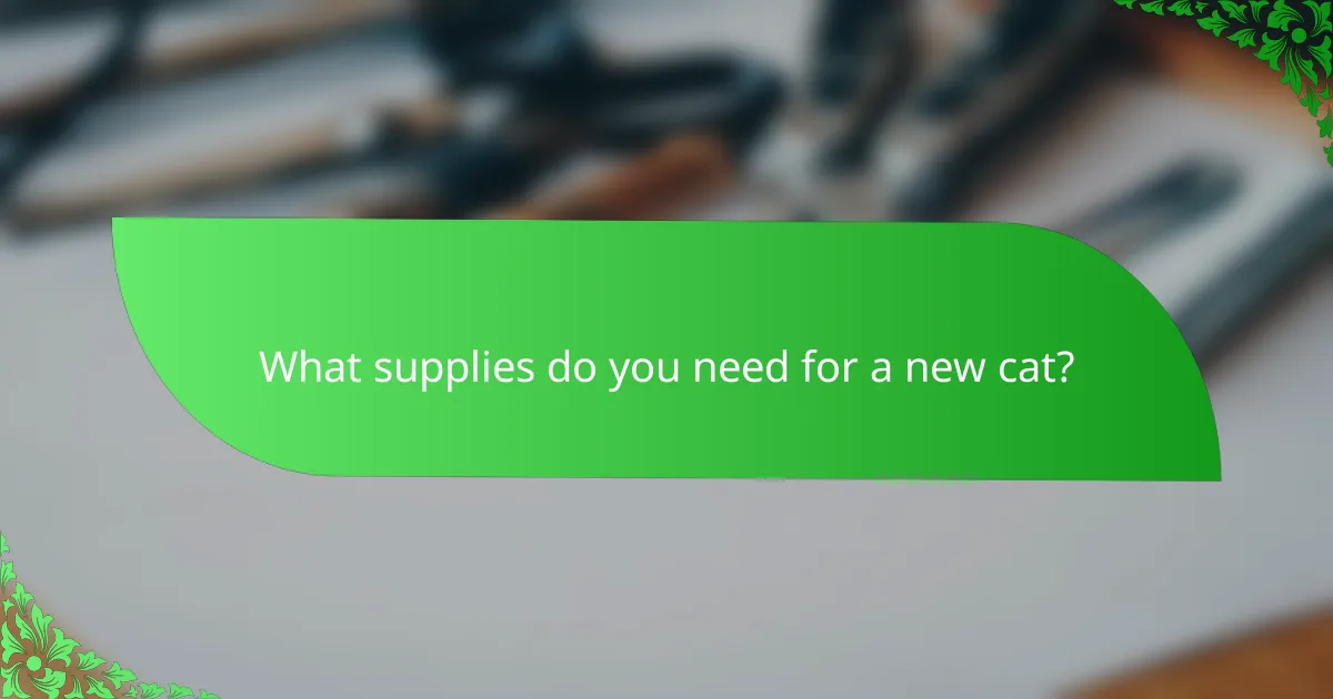 What supplies do you need for a new cat?