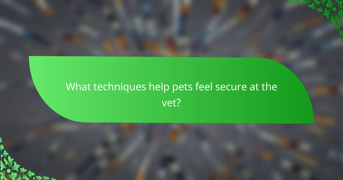 What techniques help pets feel secure at the vet?