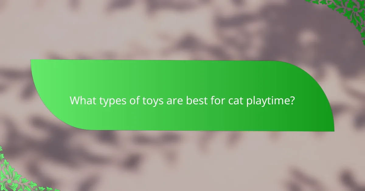 What types of toys are best for cat playtime?