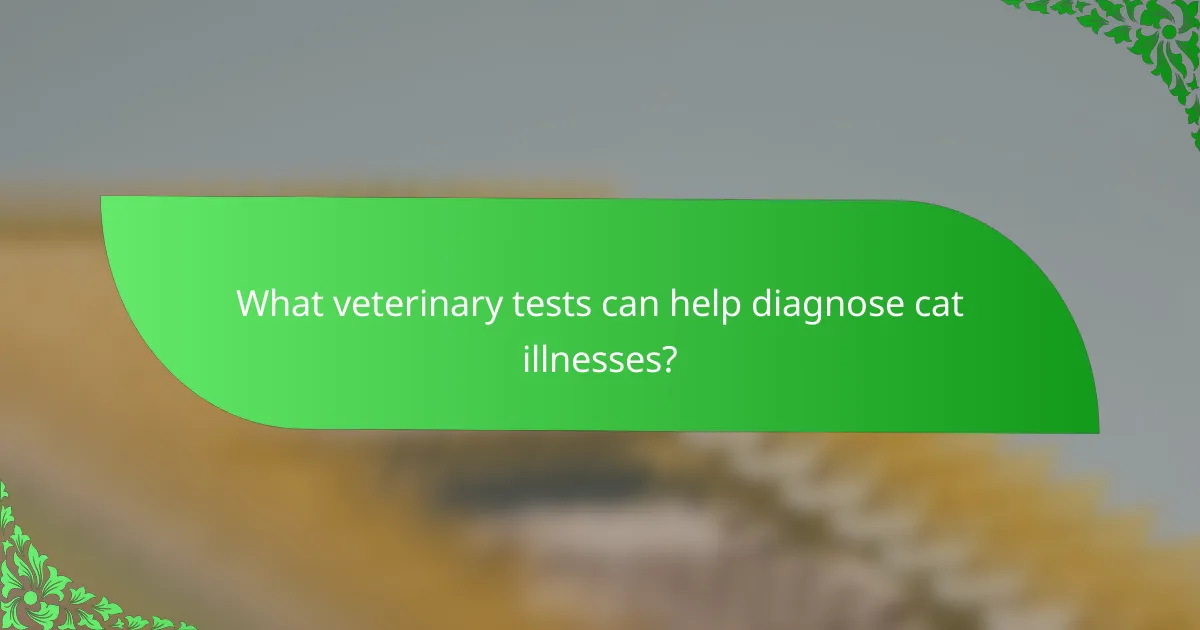 What veterinary tests can help diagnose cat illnesses?