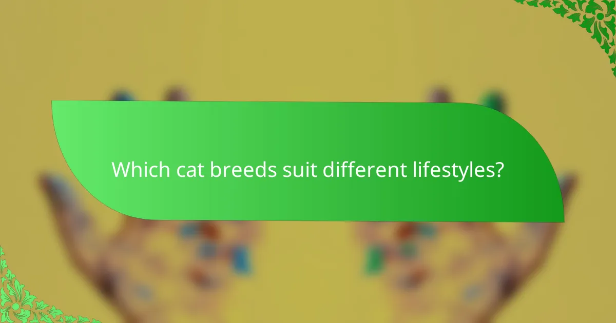 Which cat breeds suit different lifestyles?